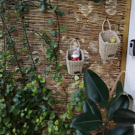 Olga's Cozy Nest , In Ano Korakiana. Apartment