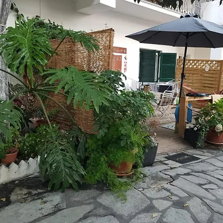 Olga's Cozy Nest , In Ano Korakiana.