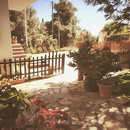 Olga's Cozy Nest , In Ano Korakiana. * Ano Korakiana
