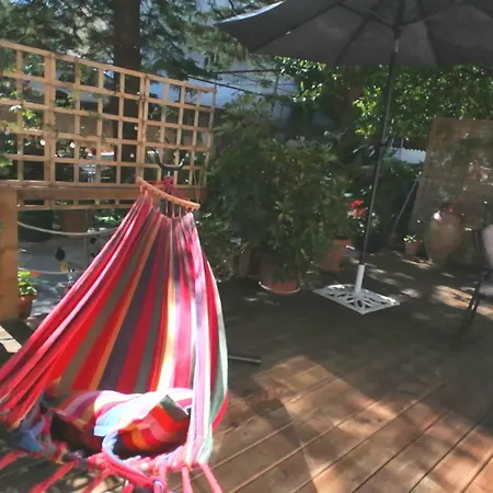 Olga's Cozy Nest , In Ano Korakiana. *