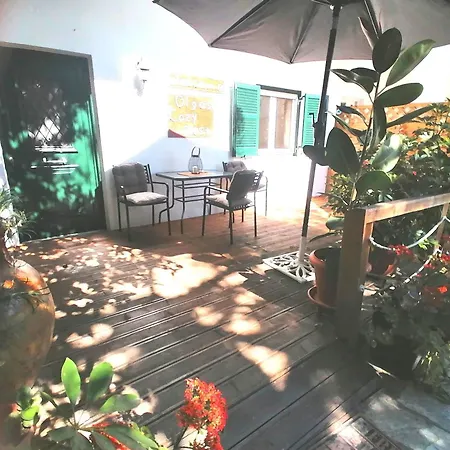 Olga's Cozy Nest , In Ano Korakiana. Ano Korakiana