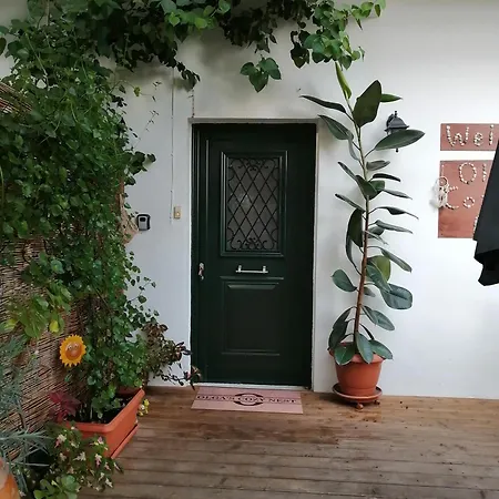 Olga's Cozy Nest , In Ano Korakiana. * Ano Korakiana